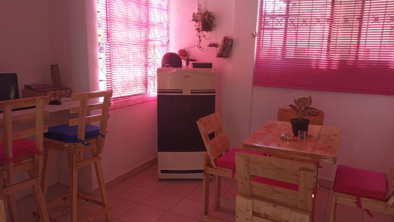 Cat Family Lodging Daire Cartagena Dış mekan fotoğraf