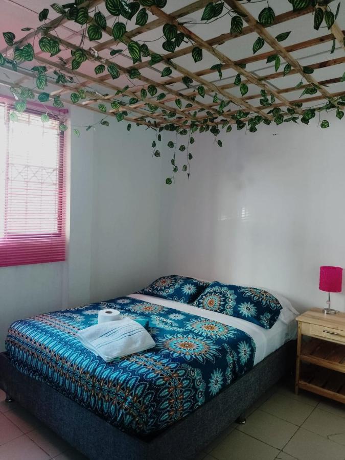 Cat Family Lodging Daire Cartagena Dış mekan fotoğraf